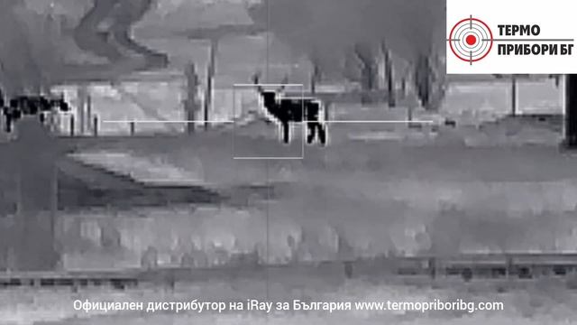iRay Tube TL25SE откриванв на трофейни животни дистанция от 80м до 700м смотреть онлайн