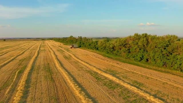 Семилетний механизатор смотреть онлайн