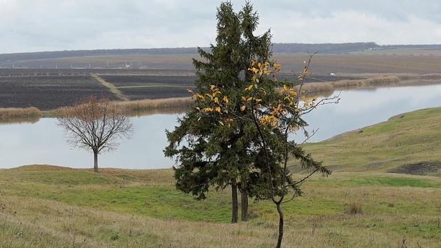Молдова. Осенний релакс. смотреть онлайн