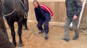 Учусь падать с лошади