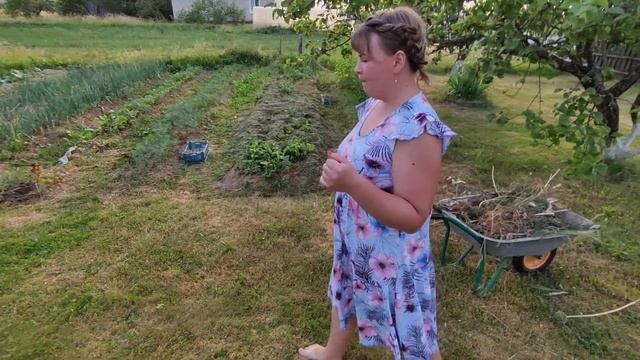 КУПИЛИ КЛУБНИКУ// обзор нашего участка спустя 3 года после покупки // ПОЧЕМУ МЫ ЖИВЁМ В ДЕРЕВНЕ смотреть онлайн