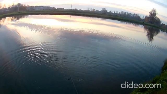 Рыбхоз Гжелка смотреть онлайн