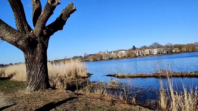 НОВИНКИ ПАРФЮМЕРИИ, лучшая мимоза с туберозой и прогулка у озера смотреть онлайн