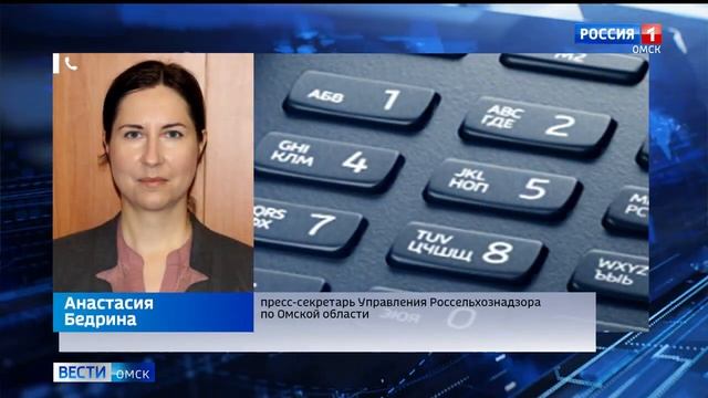Россельхознадзор проверил омские новогодние деревья смотреть онлайн