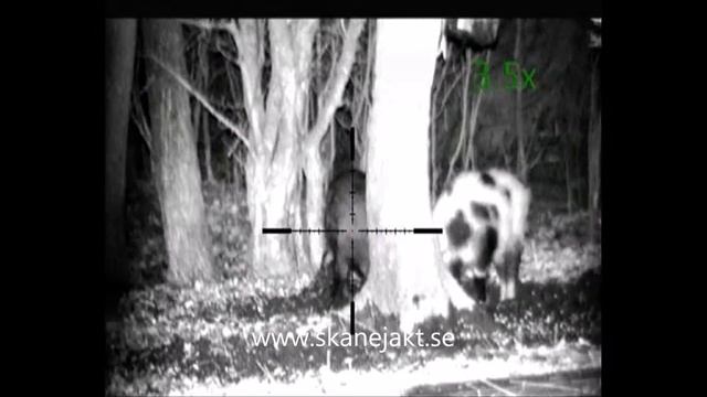 Pulsar Digisight N970 LRF