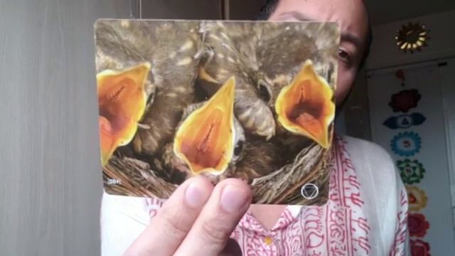 `DEPENDENCY is the Card for FEB 25th 2020 смотреть онлайн