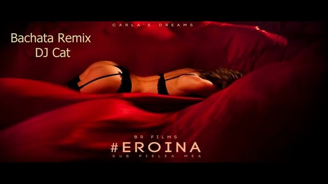 Carla's Dreams - Sub Pielea Mea (Bachata Remix DJ Cat) смотреть онлайн