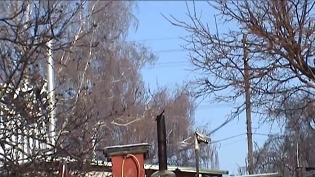 Сказочник гонит. 300 штук голубей. смотреть онлайн
