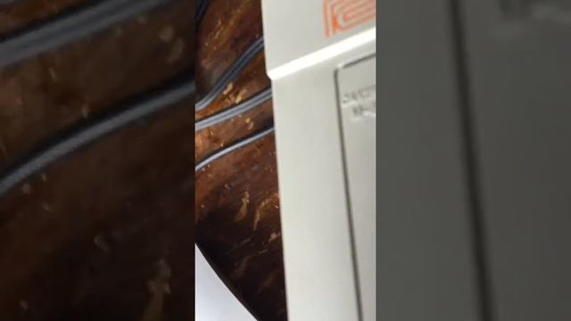 Roland 707 Drum Machine & Roland Juno 106 смотреть онлайн