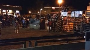 США. Bull riding. Езда на быках. Родео.