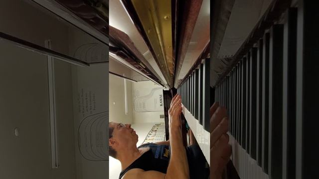 New Kawai K300 48" upright piano at Adamspiano.com смотреть онлайн