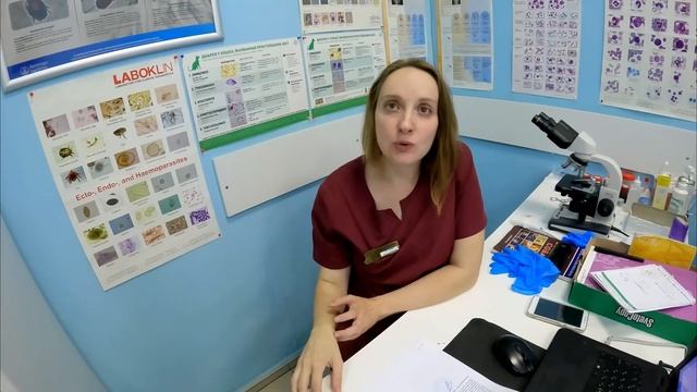 С двумя Питбулями поехали в ветклинику. Сказали вырезать Спайку рану на ноге... смотреть онлайн