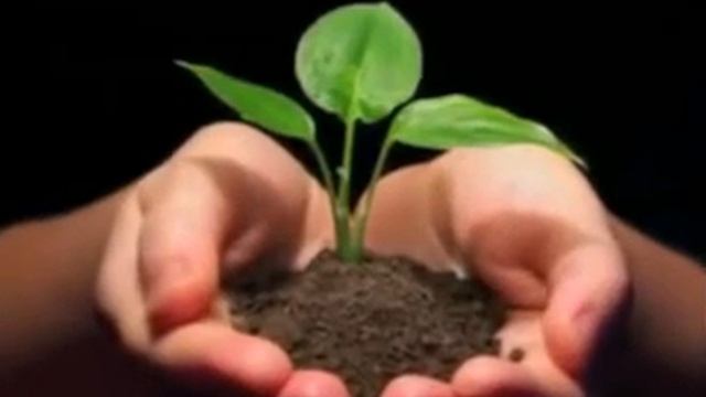 Девушка рассказывает стих, супер смотреть онлайн