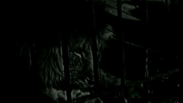 Николаевский зоопарк 70 е годы смотреть онлайн