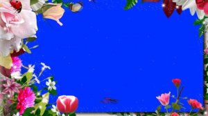 Красивая живая рамка из Цветов с бабочками на хромакей / Beautiful frame of Flowers on chromakey