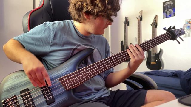 New Instrument!! Quick slap and fingerstyle jam with my new Ibanez SR305E 5 string bass. смотреть онлайн