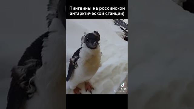 581cec7884f8f7fcd1d2ac64878909a7.mp4