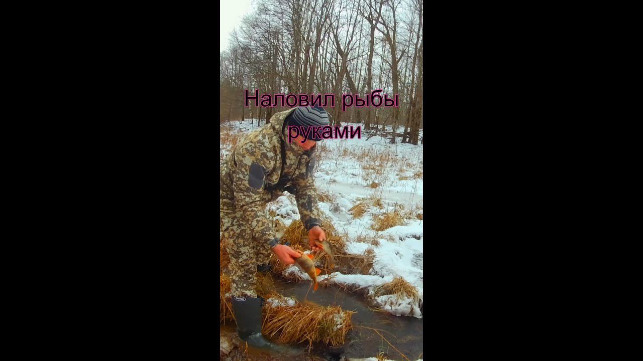НЕ УСПЕВАЛ ЛОВИТЬ РЫБУ РУКАМИ #shorts смотреть онлайн