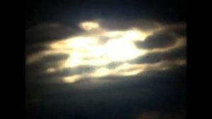 Квітка Цісик - Коханий