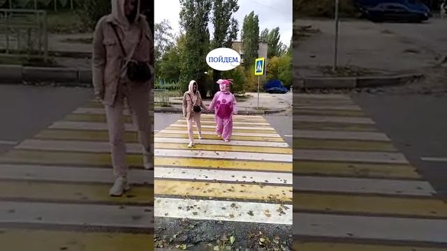 Новый проект ПДД смотреть онлайн