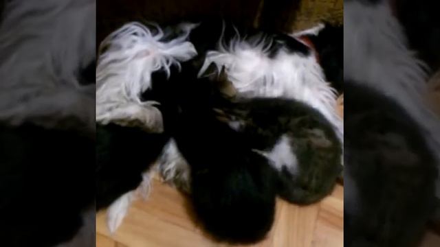 Вот кто дружба Читать описание пожалуйста. смотреть онлайн