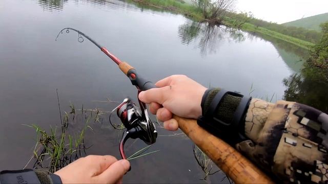 За горбушей на таёжную речку. Классная рыбалка со спиннингом! смотреть онлайн