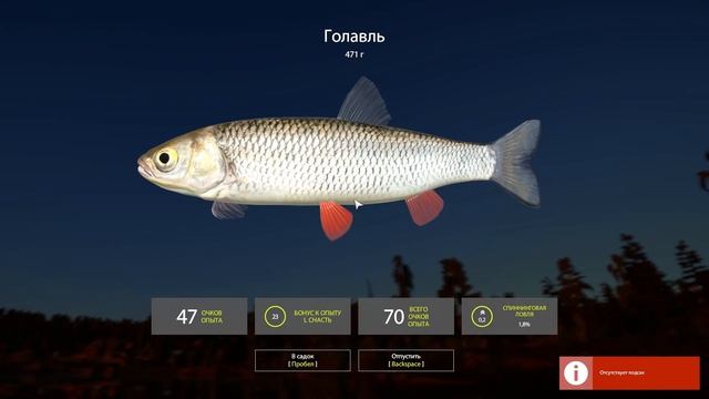 Прокачка навыков. Гайд. Русская Рыбалка 4 смотреть онлайн