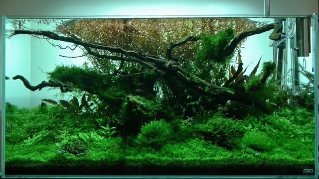 ADA Idea Studio Poland смотреть онлайн