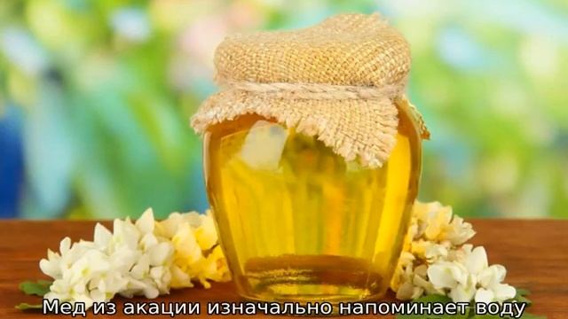 Белый мед — из чего получается смотреть онлайн