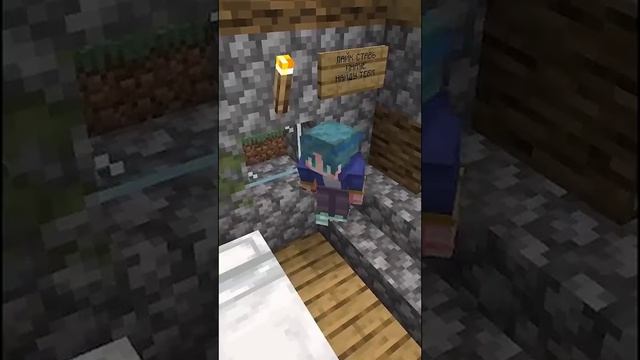 Самые сломанные сиды в Майнкрафт от Эйр#shorts #minecraft #майнкрафт #эйр смотреть онлайн
