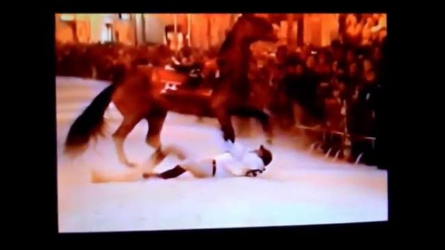 palio del viccio: cavallo pazzo the crazy horse смотреть онлайн
