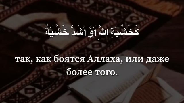 Махди аш-Шишани. 4 ан-Ниса (Женщины), аят 77 смотреть онлайн