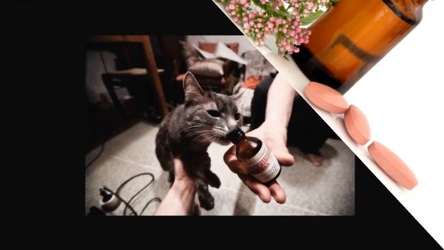 ПРОСТОЕ НАРОДНОЕ СРЕДСТВО ОТ БЕССОННИЦЫ смотреть онлайн