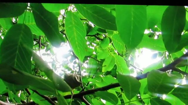 Что делать, если я хочу любви, но не чувствую ее смотреть онлайн