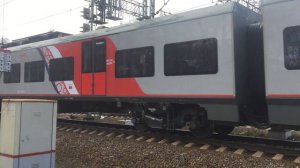 Электропоезд Ласточка. Новая раскраска. РЖД.