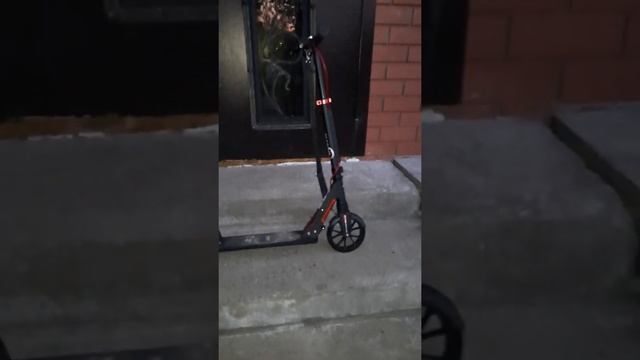 Купили новый самокат DELTA TECHTEAM подарок брату на день рождения!