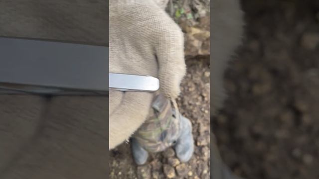 Отличный нож со дна немецкого блиндажа смотреть онлайн