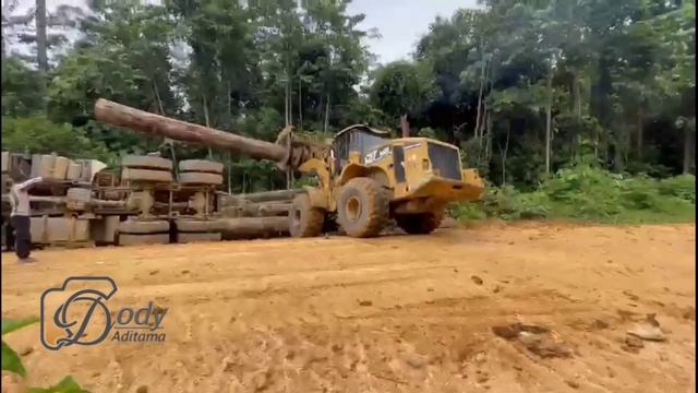 Proses evakuasi kecelakaan truk logging bermuatan kayu menggunakan alat berat wheel loader смотреть онлайн