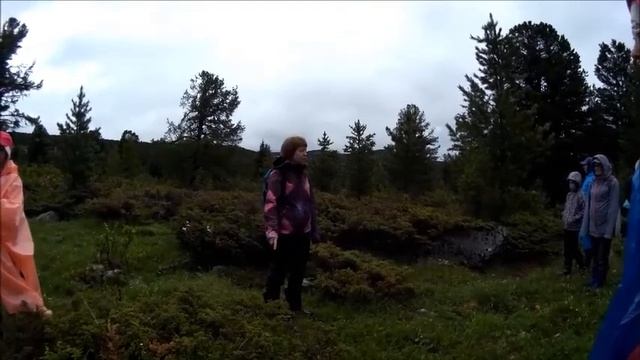.Чем полезен можжевельник . смотреть онлайн