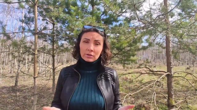 СтройХакер