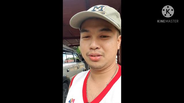 Philodendron Selloum at Calkins Gold yung Nakita at pati ky motherlily.. PART 2 @ Bago City. смотреть онлайн