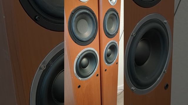 работа Cortland 5500 смотреть онлайн