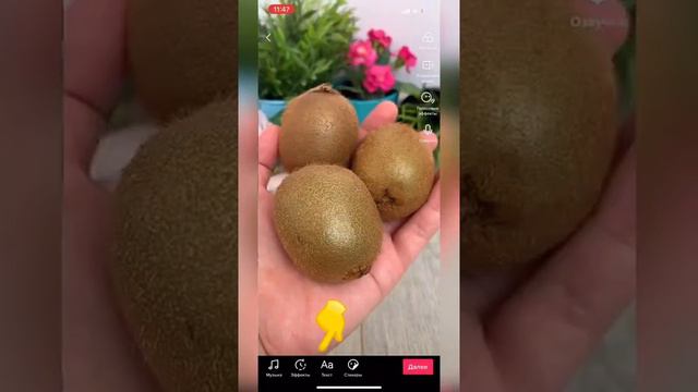 Обратная съёмка киви смотреть онлайн