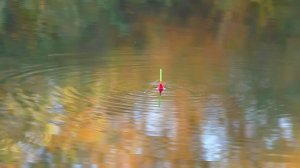 Рыбалка в сентябре.