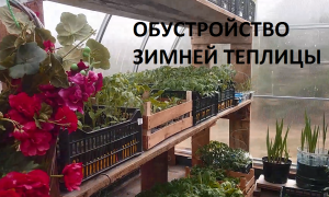 Обустройство зимней теплицы.