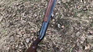 Охота с подсадной уткой и МЦ 21-12