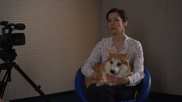 Вельш корги пемброк. Беседа с владельцем питомника: " Тирлис " Лидией Терентьевой . Всё о породе. смотреть онлайн