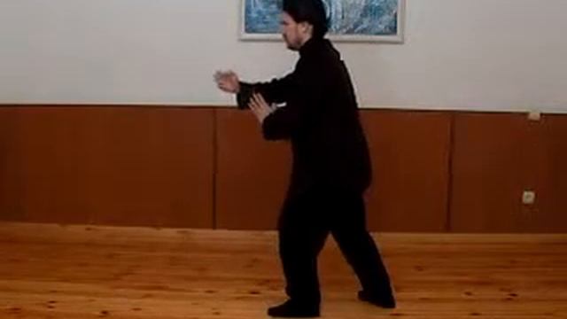 36 форм стиля Ян (3 дорожка) смотреть онлайн