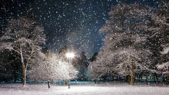 Была зима. Татьяна и Евгений Шкодины смотреть онлайн