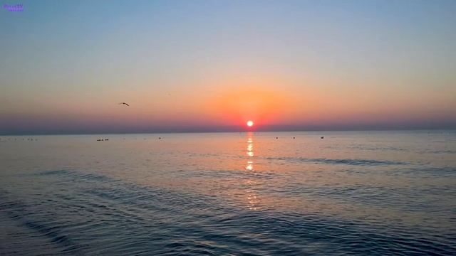 РОМАНТИЧЕСКАЯ ГИТАРА НА БЕРЕГУ ОКЕАНА. ШУМ ПРИБОЯ. ROMANTIC GUITAR ON THE OCEAN BEACH.